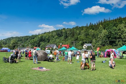 II Międzynarodowa wystawa Psów Rasowych